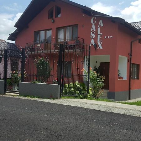 Vila Alex Hotel Călimăneşti Zewnętrze zdjęcie