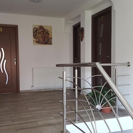 Vila Alex Hotel Călimăneşti Zewnętrze zdjęcie