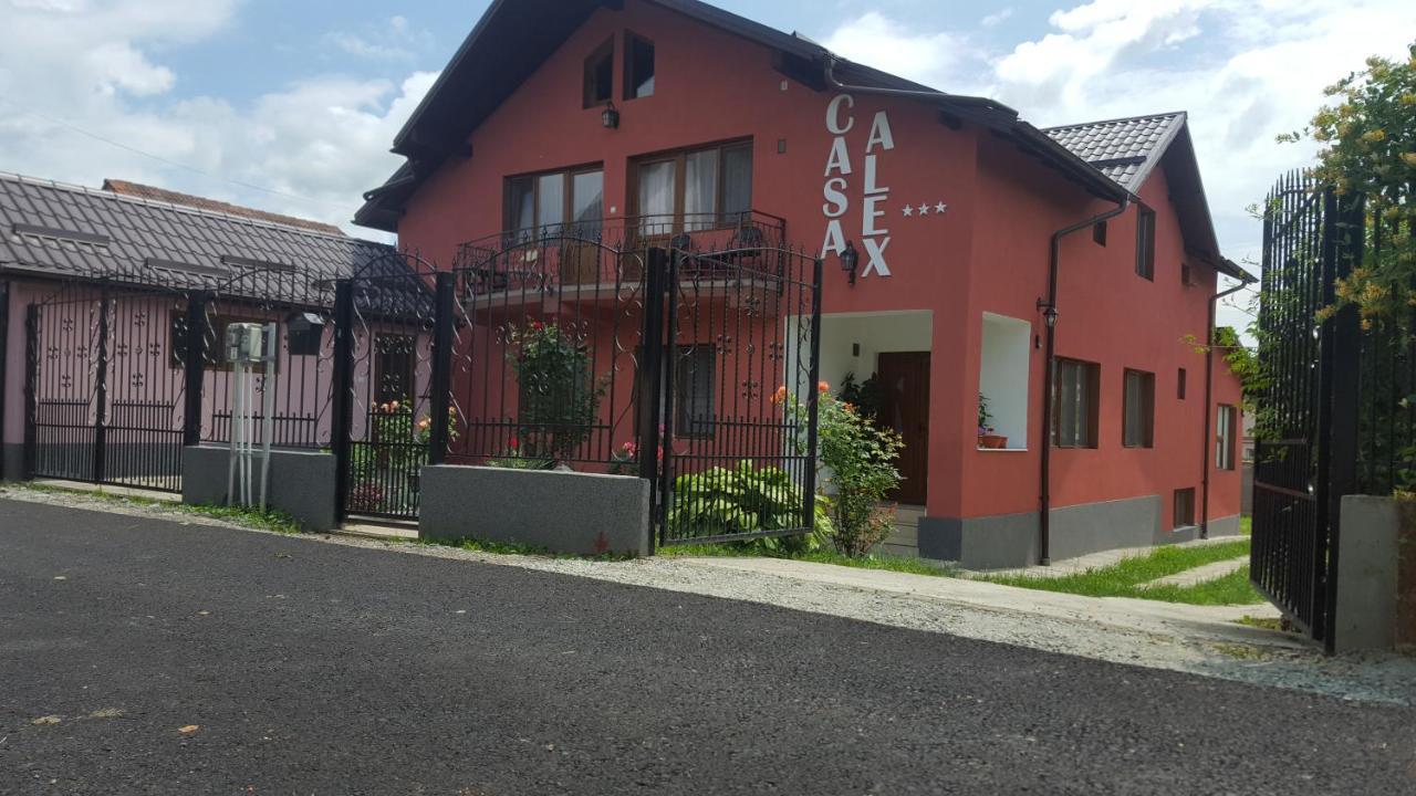 Vila Alex Hotel Călimăneşti Zewnętrze zdjęcie