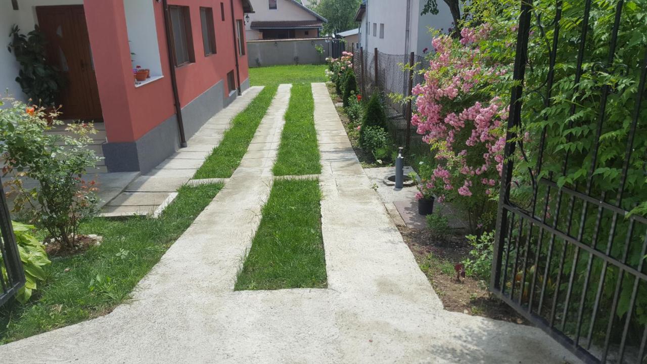 Vila Alex Hotel Călimăneşti Zewnętrze zdjęcie