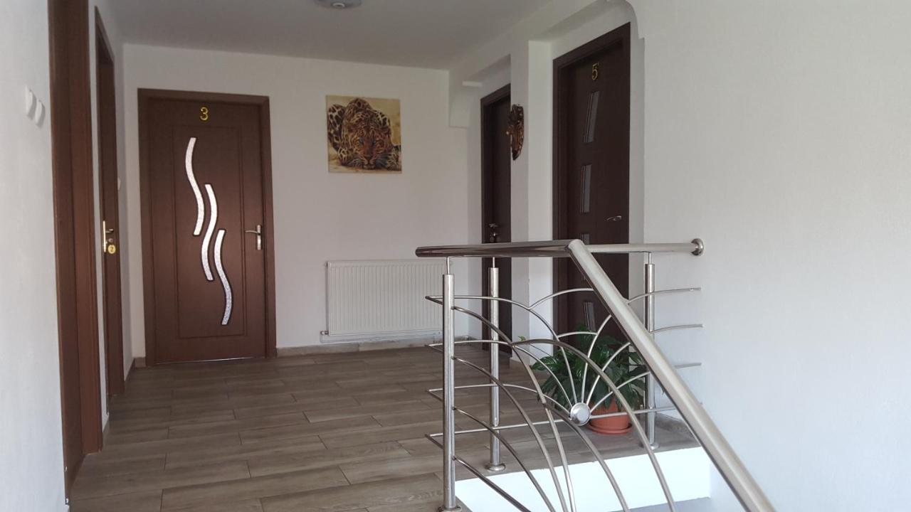 Vila Alex Hotel Călimăneşti Zewnętrze zdjęcie