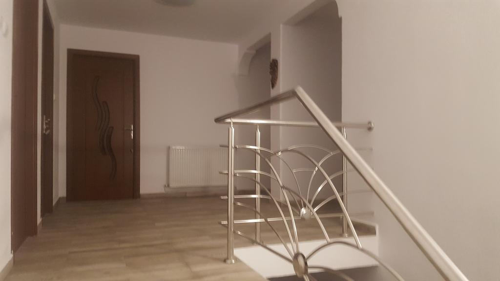 Vila Alex Hotel Călimăneşti Zewnętrze zdjęcie