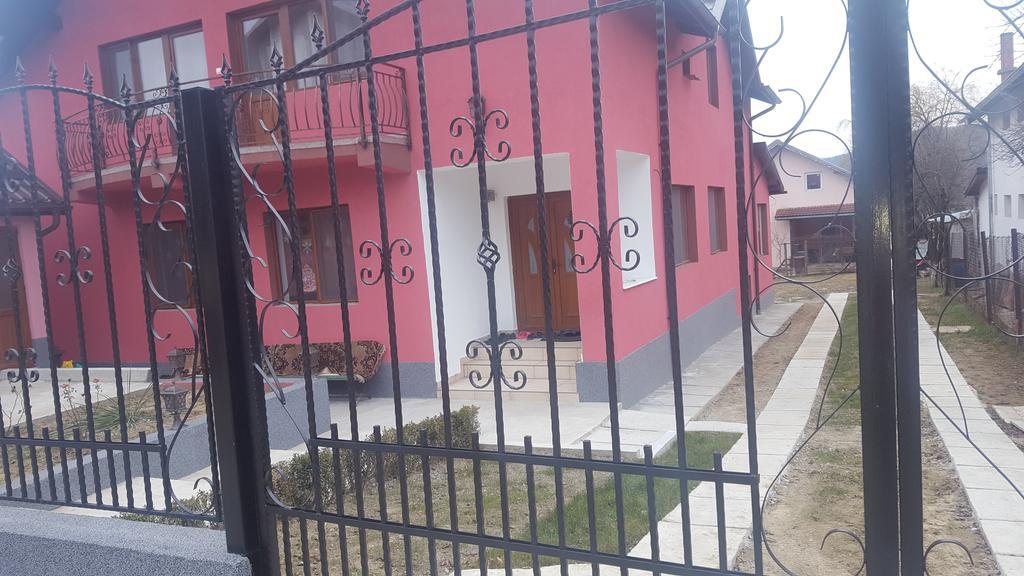Vila Alex Hotel Călimăneşti Zewnętrze zdjęcie