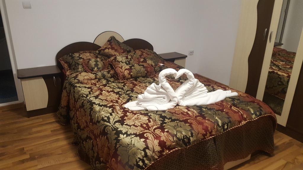 Vila Alex Hotel Călimăneşti Zewnętrze zdjęcie