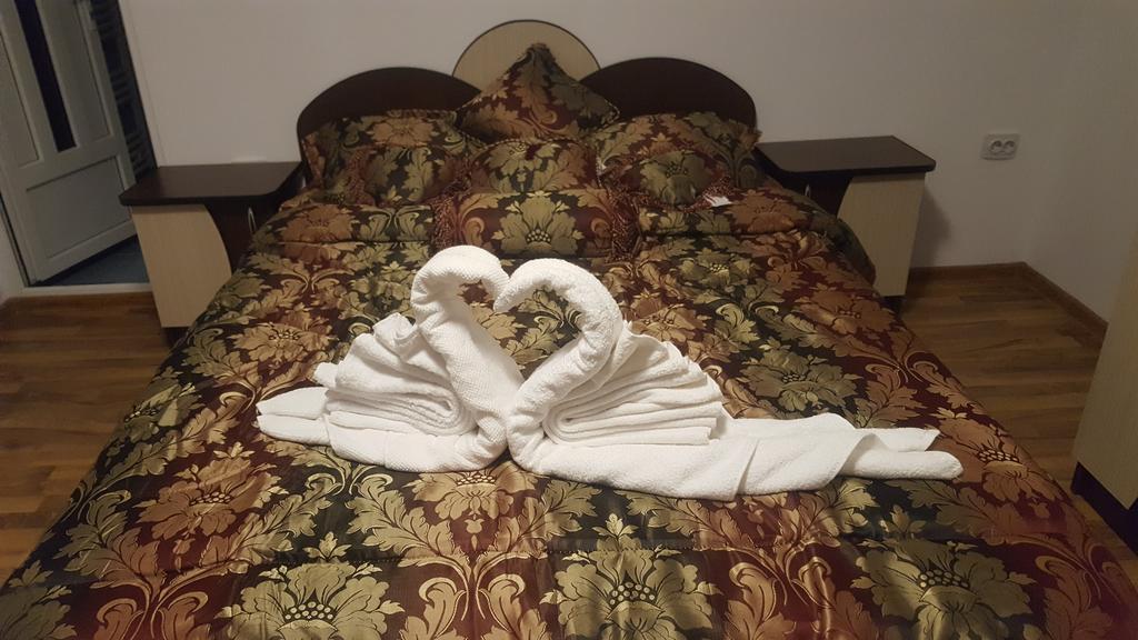 Vila Alex Hotel Călimăneşti Zewnętrze zdjęcie