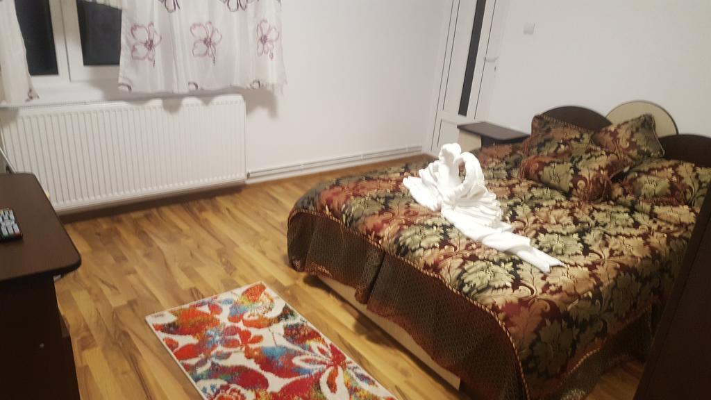 Vila Alex Hotel Călimăneşti Zewnętrze zdjęcie