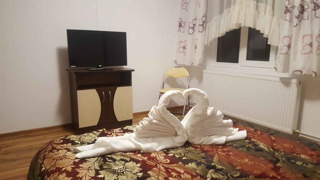 Vila Alex Hotel Călimăneşti Zewnętrze zdjęcie