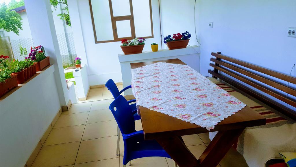 Vila Alex Hotel Călimăneşti Zewnętrze zdjęcie