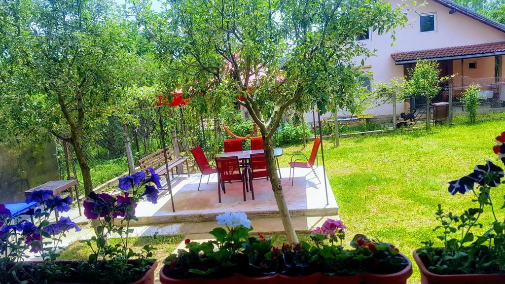Vila Alex Hotel Călimăneşti Zewnętrze zdjęcie