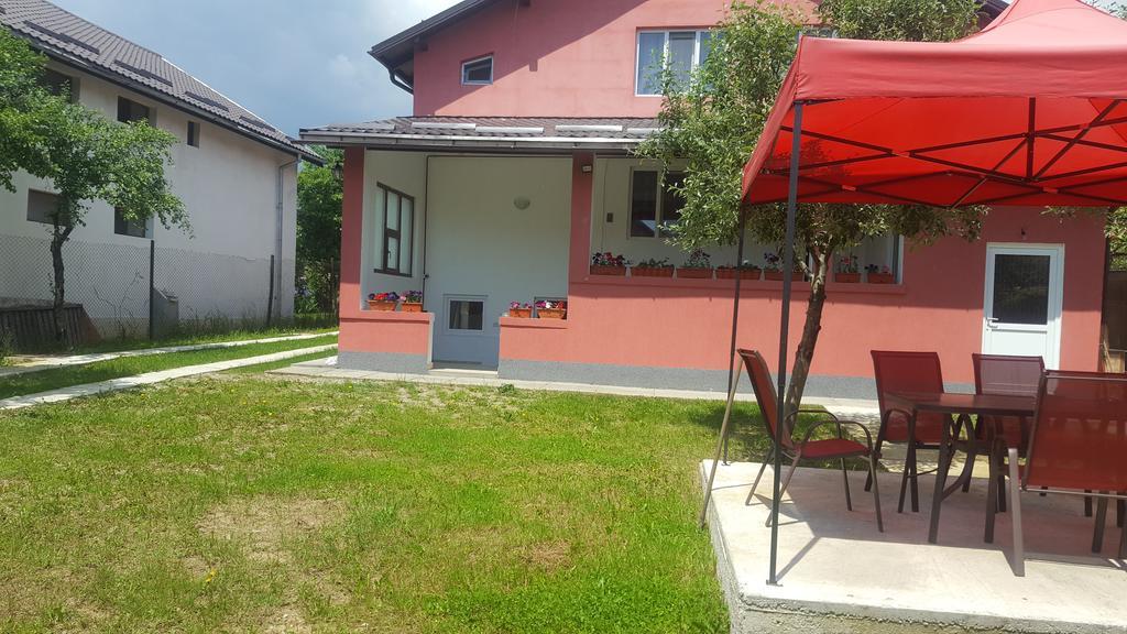 Vila Alex Hotel Călimăneşti Zewnętrze zdjęcie