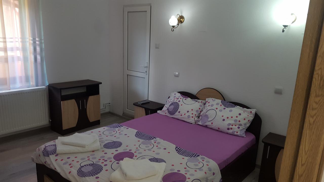 Vila Alex Hotel Călimăneşti Zewnętrze zdjęcie