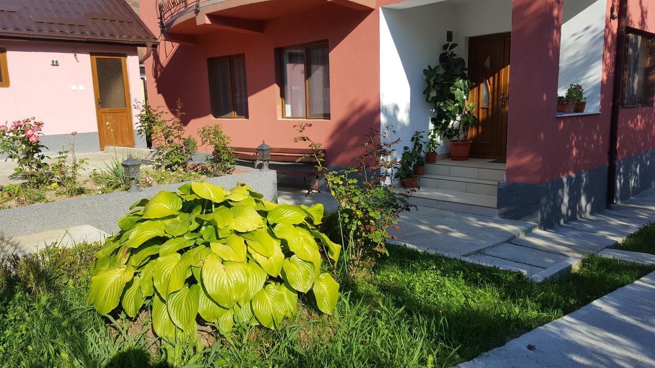 Vila Alex Hotel Călimăneşti Zewnętrze zdjęcie