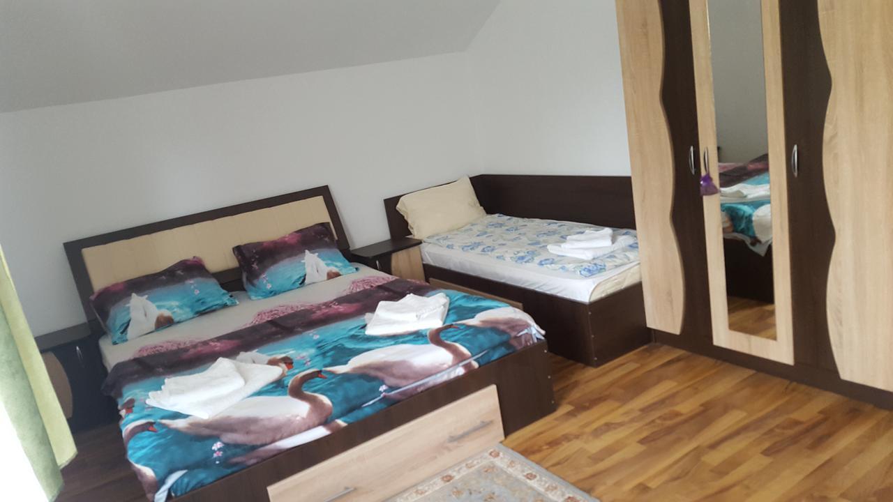 Vila Alex Hotel Călimăneşti Zewnętrze zdjęcie