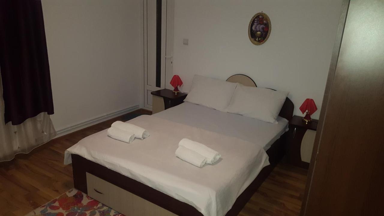 Vila Alex Hotel Călimăneşti Zewnętrze zdjęcie